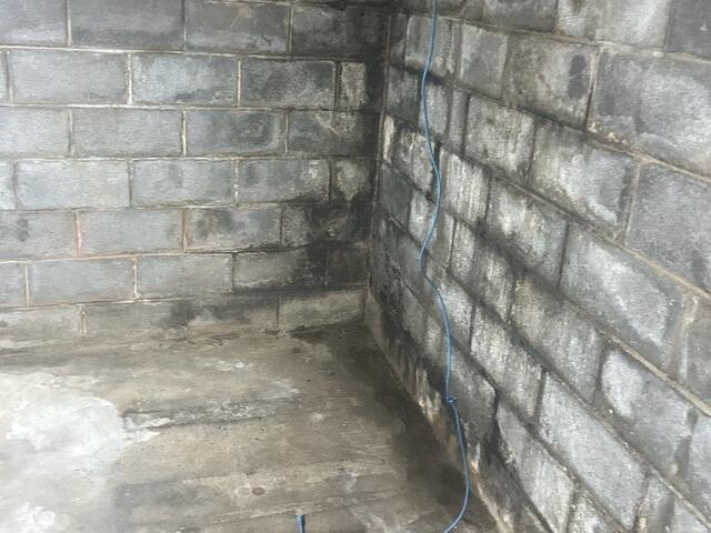 The basement showed clear signs of efflorescence, especially in this corner.