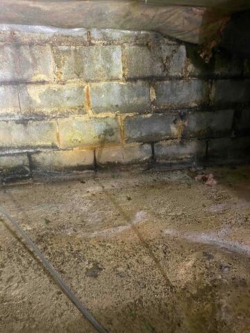 Signs of Mold