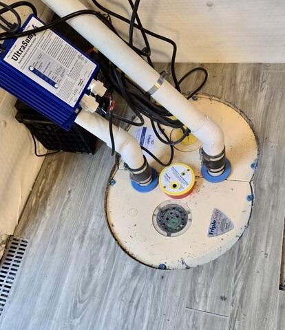 Flush, Covered & Healthy!