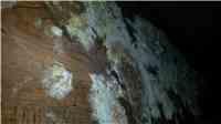 More Examples of Crawl Space Mold