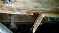 Mold Resulting in the Deterioration of Wooden Supports