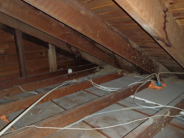 <p>Dr. Energy Saver Delmarva has removed the old attic insulation to prepare for the installation of the TruSoft Cellulose insulation. &nbsp;</p>