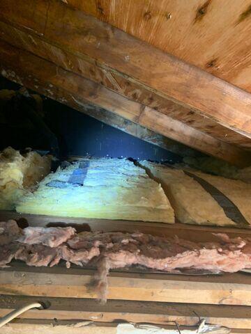 Old Insulation needs removal