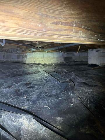 Crawl Space Before