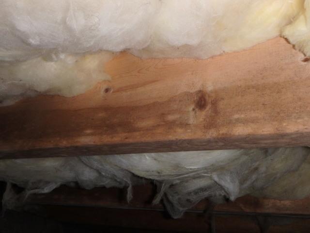 Sagging Insulation