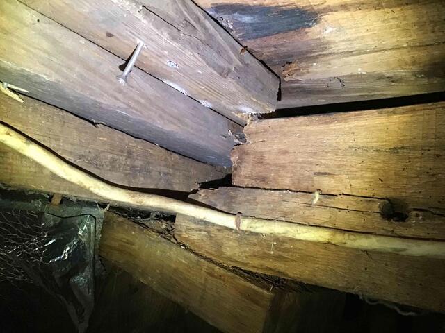 Rotting Wood!