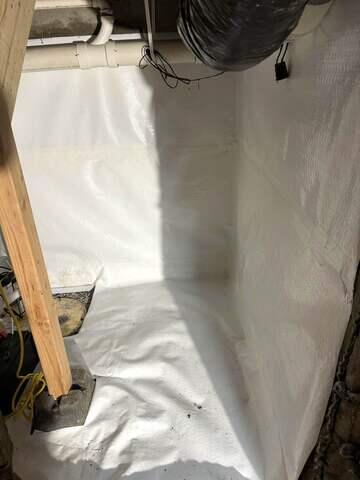 CleanSpace