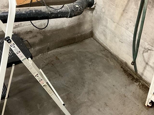 Wet, Damp, Smelly Basement