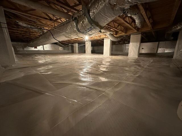CleanSpace