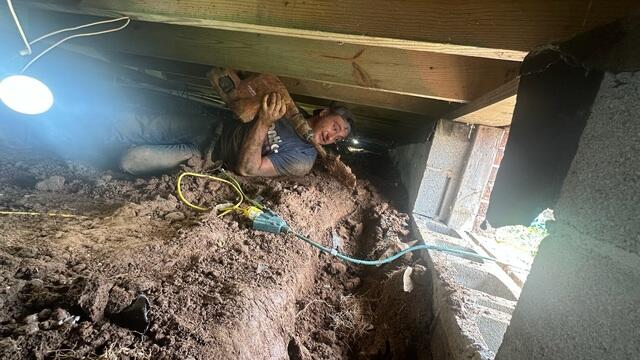 Digging Trench