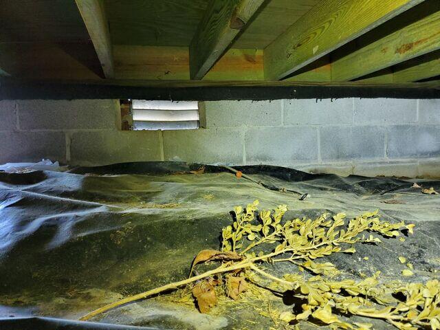 Open Crawl Space Vents