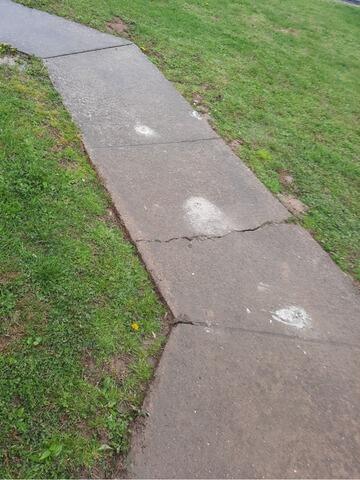 Cracked Sidewalk