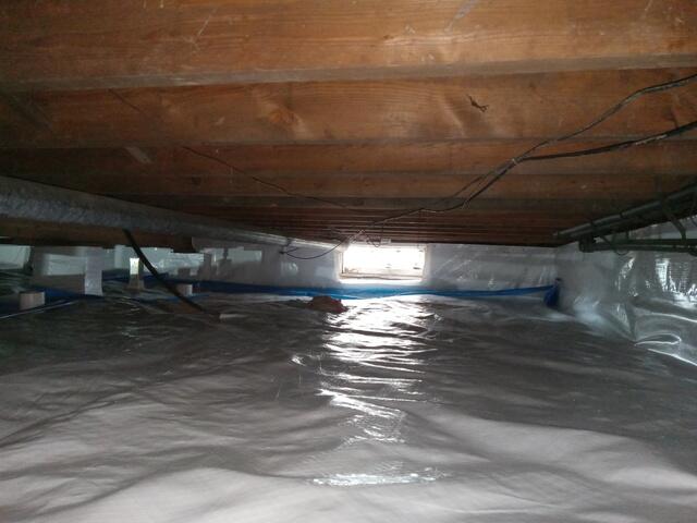 Cleanspace liner