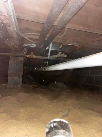 Crawl Space Before