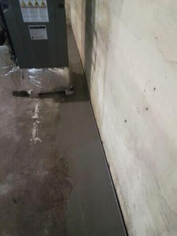 WaterGuard Drainage System