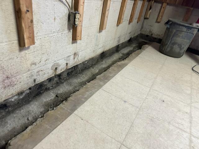 WaterGuard Before