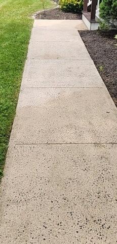Walk Way After Pressure Wash