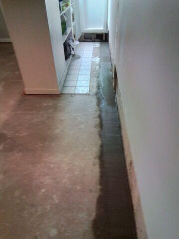 WaterGuard Below Floor Drains