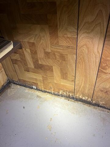 Water Damage
