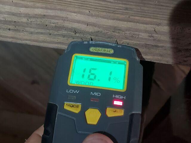 Moisture in Wood Floor Joists