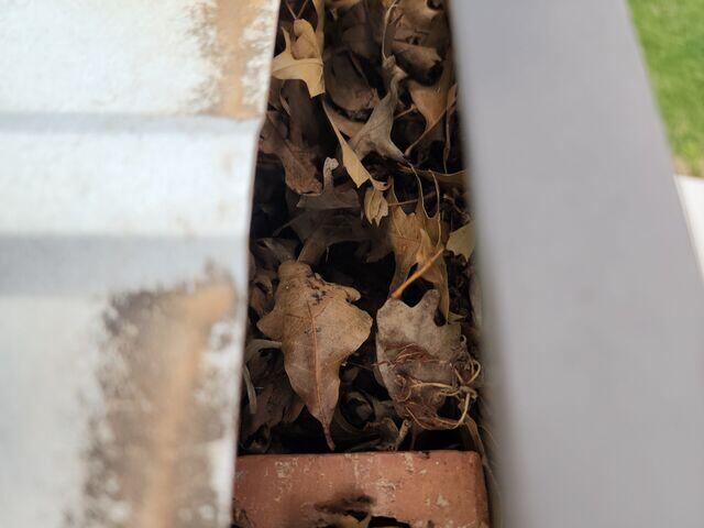Cleaning of the gutters.