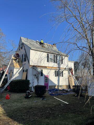 New Shingles