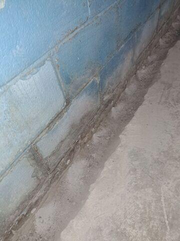 Before Project Begins