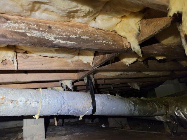 Wood Rot From Moisture