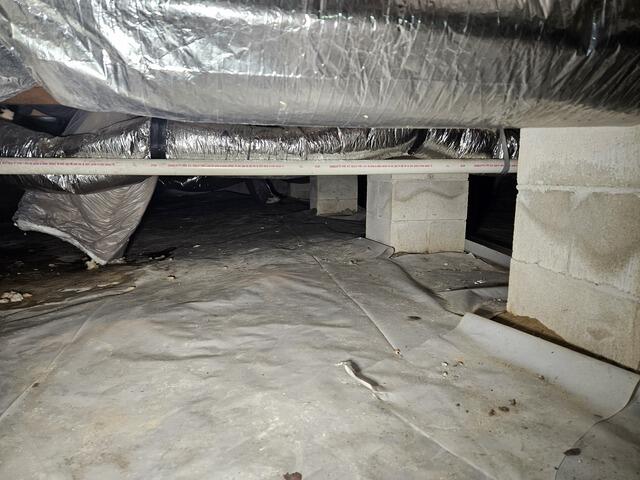 Before CleanSpace