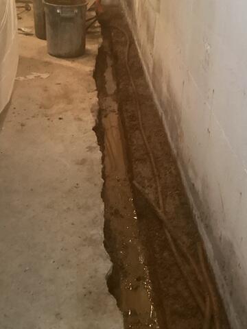 Digging Out