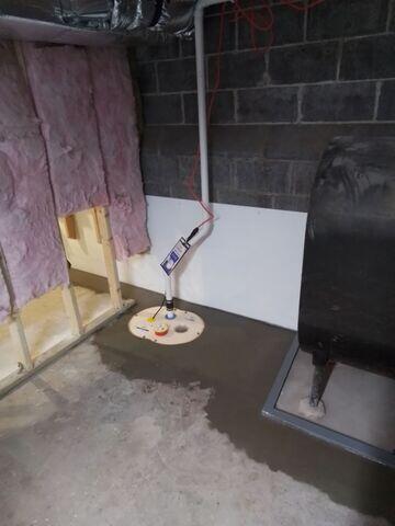 SuperSump Plus Sump Pump