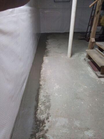 WaterGuard and CleanSpace