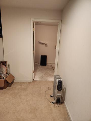 Basement Closet