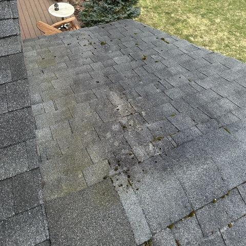 Algae Stained Roof