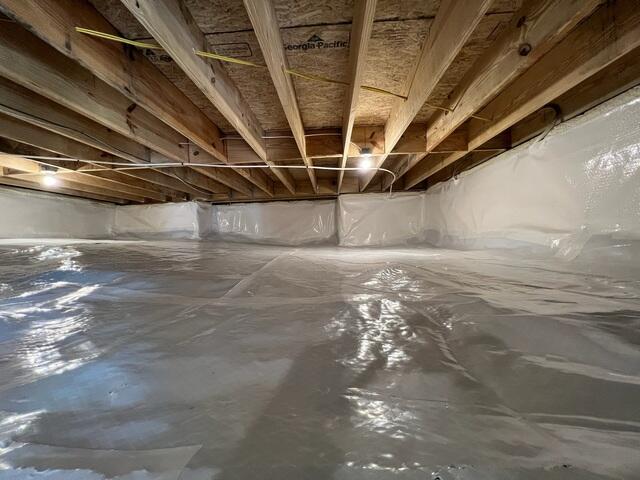 CleanSpace