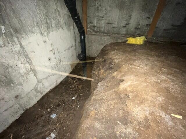 Damp Dirt and Natural Low Point was Evident