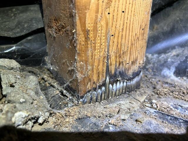 Water Issues on the Wooden Posts