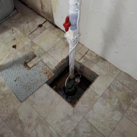 Old Sump Pump