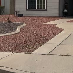 Causes of Settlement Problems in Phoenix, Arizona