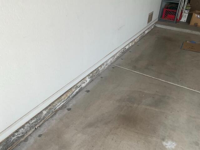 Signs of Stem Wall Failure: Flaking Paint in Phoenix, Arizona