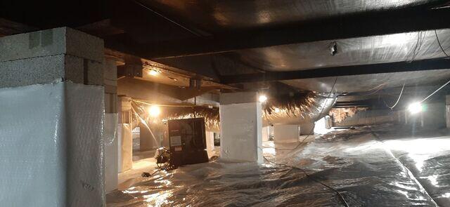 Crawl Space Dehumidifier