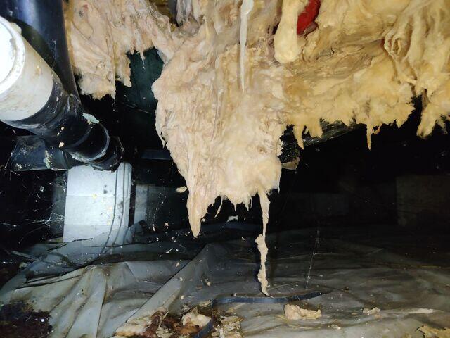 Sagging Insulation