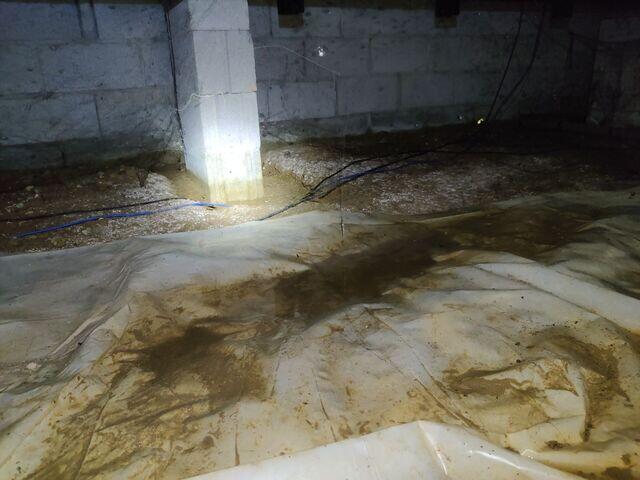 Standing Water