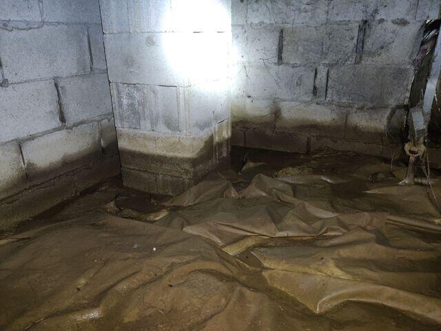 Water Stains & Standing Water