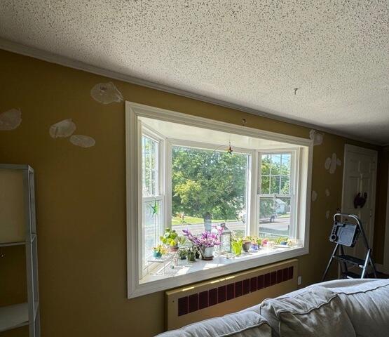 Living Room Side Wall