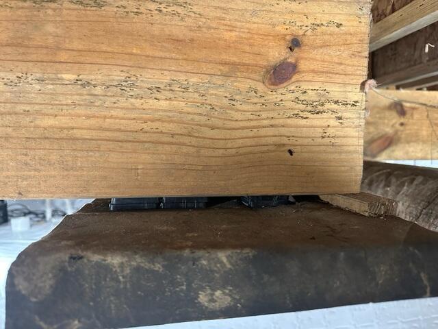 Mold