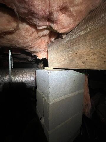 Wood Rot