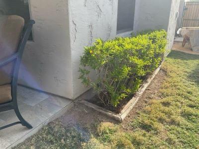 Causes of Stem Wall Problems in Glendale, AZ