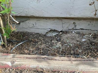 Signs of Stem Wall Failure: Spalling Concrete in Glendale, AZ