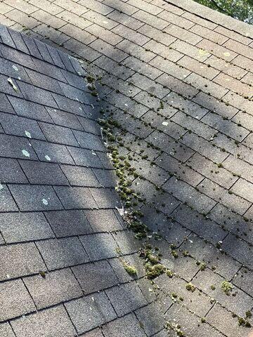Worn Shingles, Algae, and Moss Growth